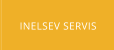INELSEV SERVIS